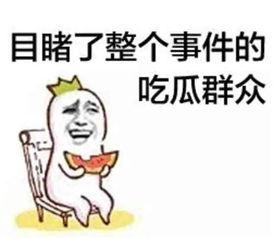 娱乐爆笑吃瓜视频合集下载