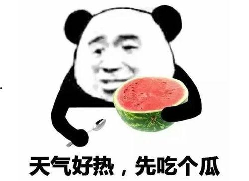 吃瓜比赛表情包,吃瓜比赛表情包盘点，笑料百出！